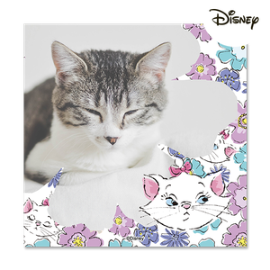 Aristocats  Photobook Philippines
